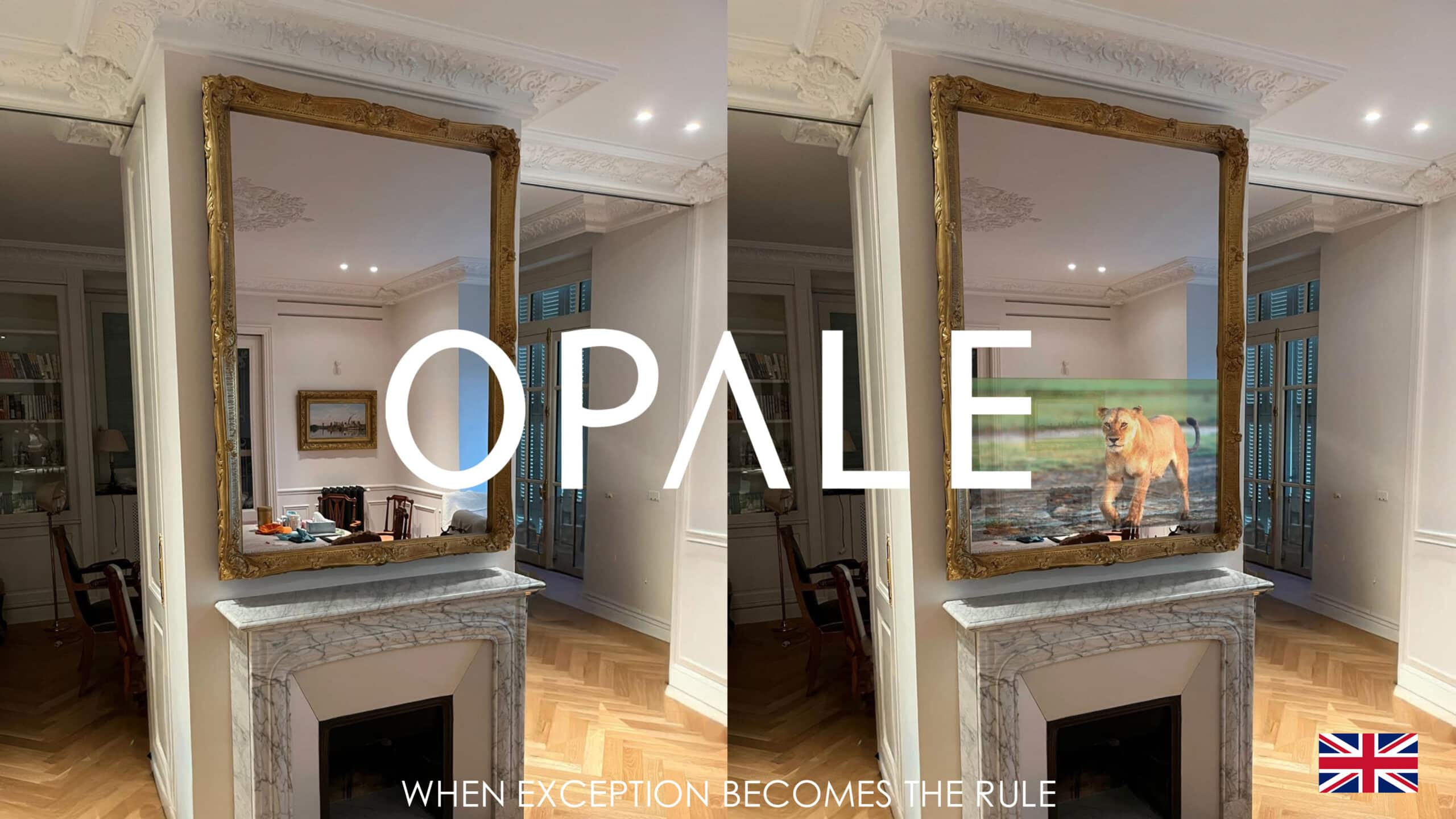 page de couverture brochure de presentation de OPALE en anglais