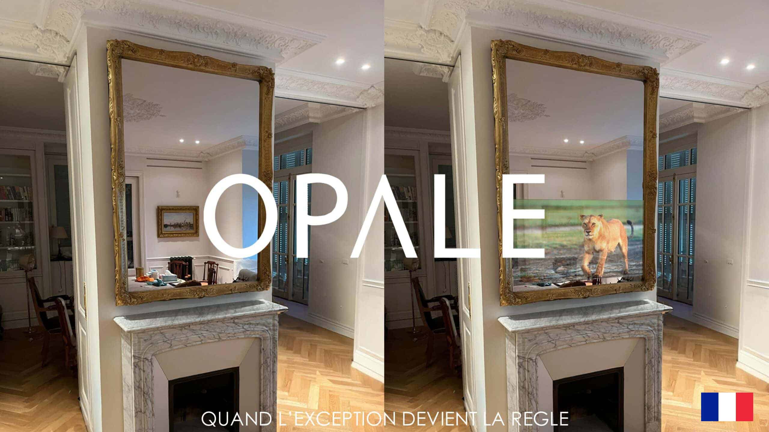 Catalogue téléviseur miroir sur mesure Opale TV - Français
